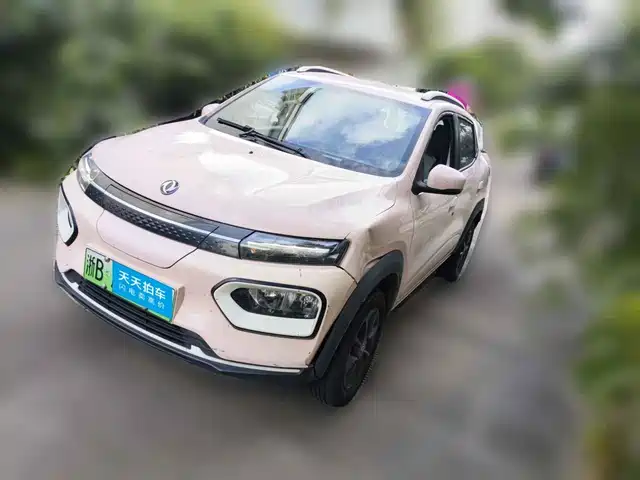  Dongfeng Yipai Nano BOX 2022 Wind Chaser Edition 331KM Advanced Type