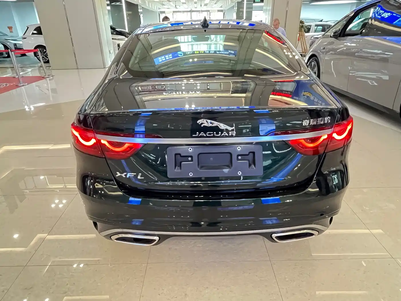 Jaguar XFL 2026 2025 2.0T P250 FWD Luxury Edition