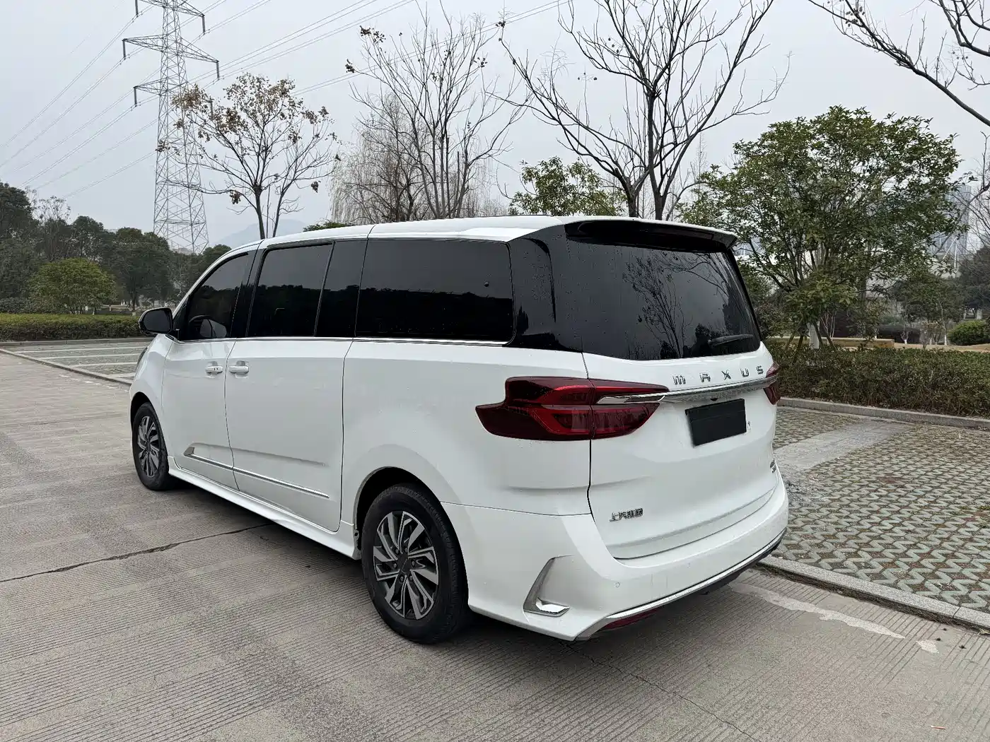 SAIC MAXUS CHASE G20