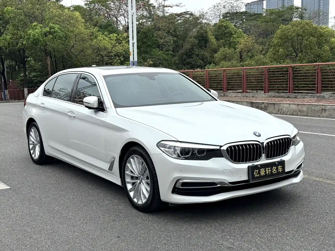 BMW 5 Series 2019 530Li Leading Luxury Package фото 3