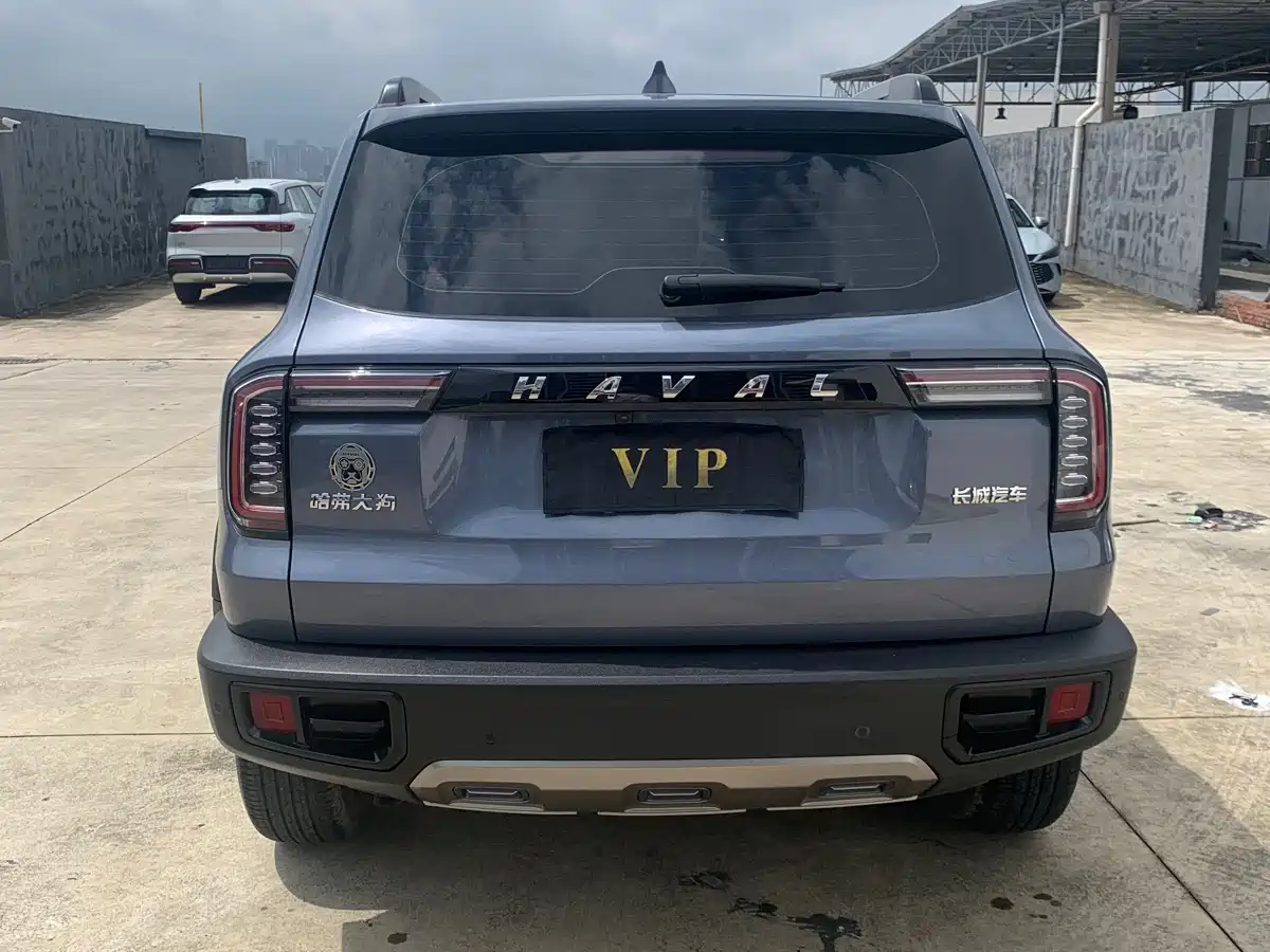 Haval Big Dog 2021 1.5T DCT 2WD Border Collie Edition фото 18
