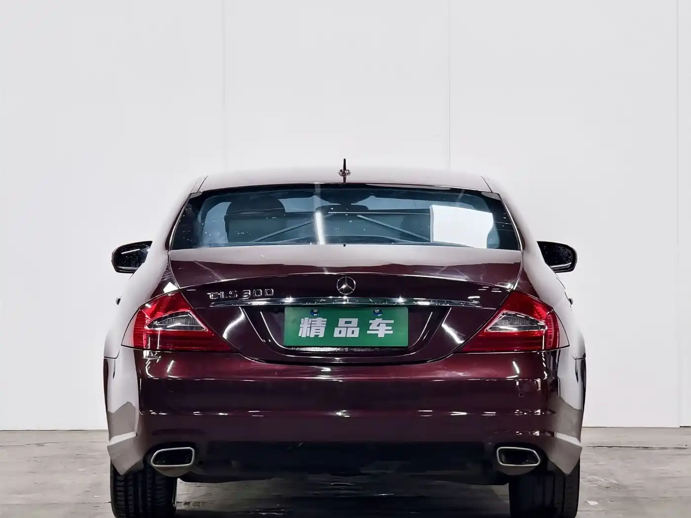 Mercedes-Benz CLS 2009 CLS 300 фото 5