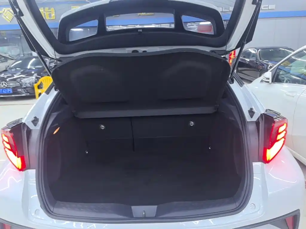 Toyota C-HR 2022 2021 2.0L Luxury Edition