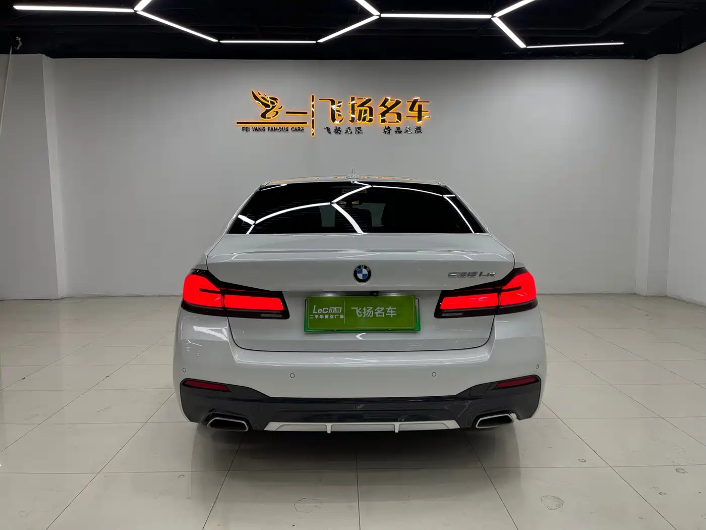 BMW 5 SERIES NEW ENERGY
