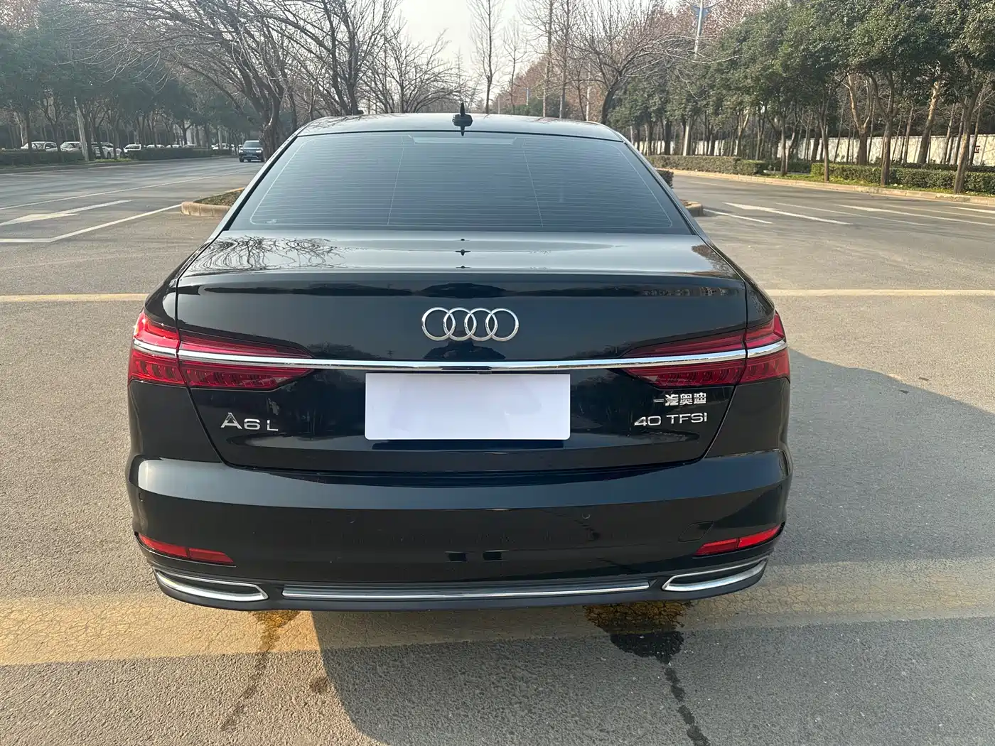 Audi A6L 2020 40 TFSI Luxury Elegance фото 9