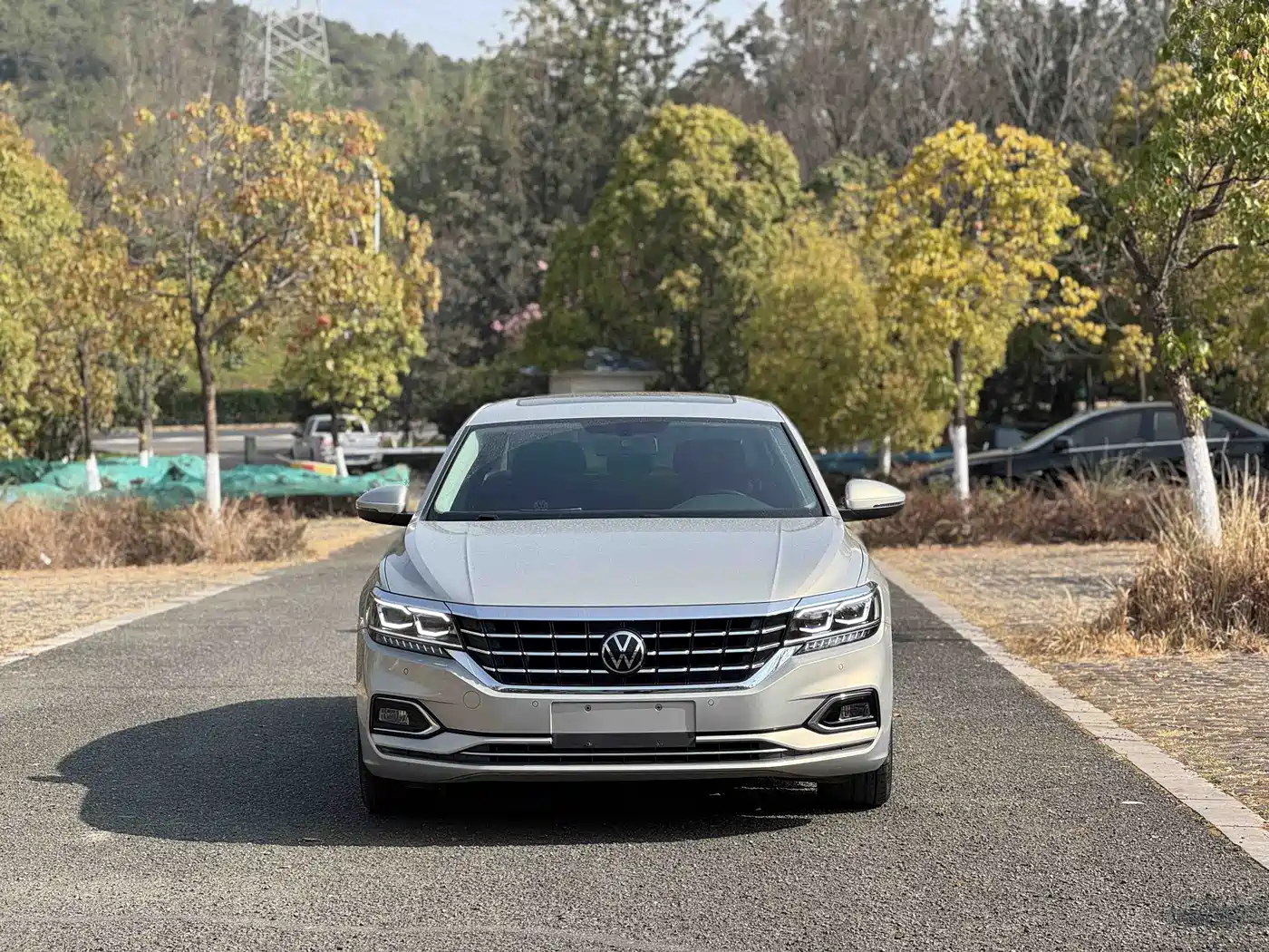 Volkswagen Passat 2019 330TSI Luxury Edition China VI фото 2