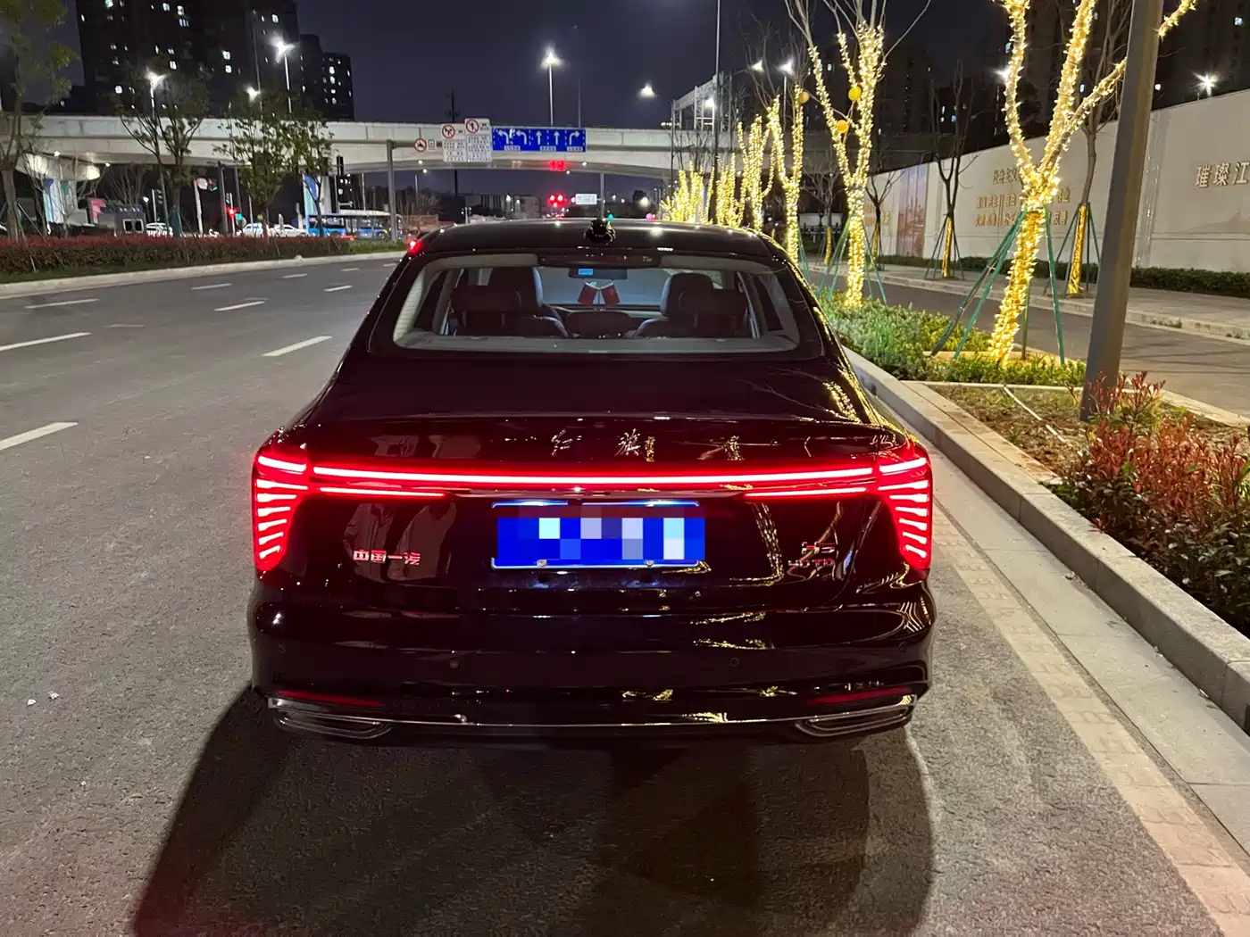 Hongqi H5 2024 2.0T Automatic Smart Connect Flag Smooth Edition фото 14