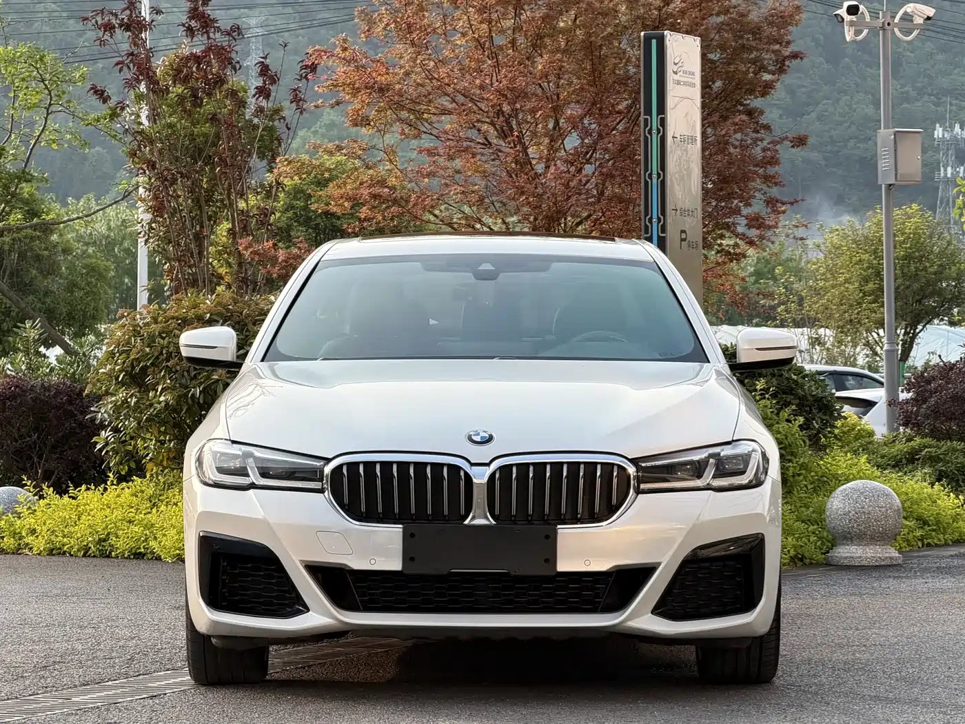 BMW 5 Series 2021 530Li Leading M Sport Package фото 2