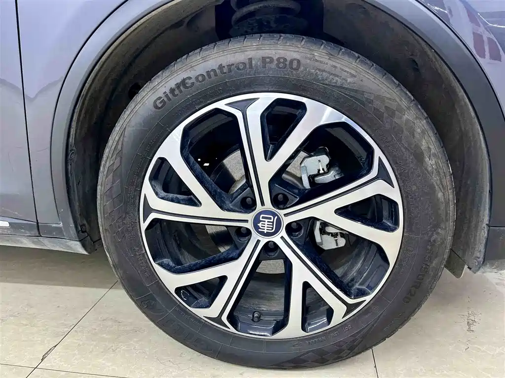 BYD Tang New Energy 2025 DM-i 115KM Prestige Type фото 9