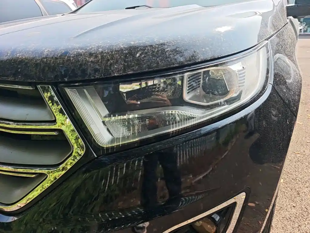 Фото 24 - Ford Edge