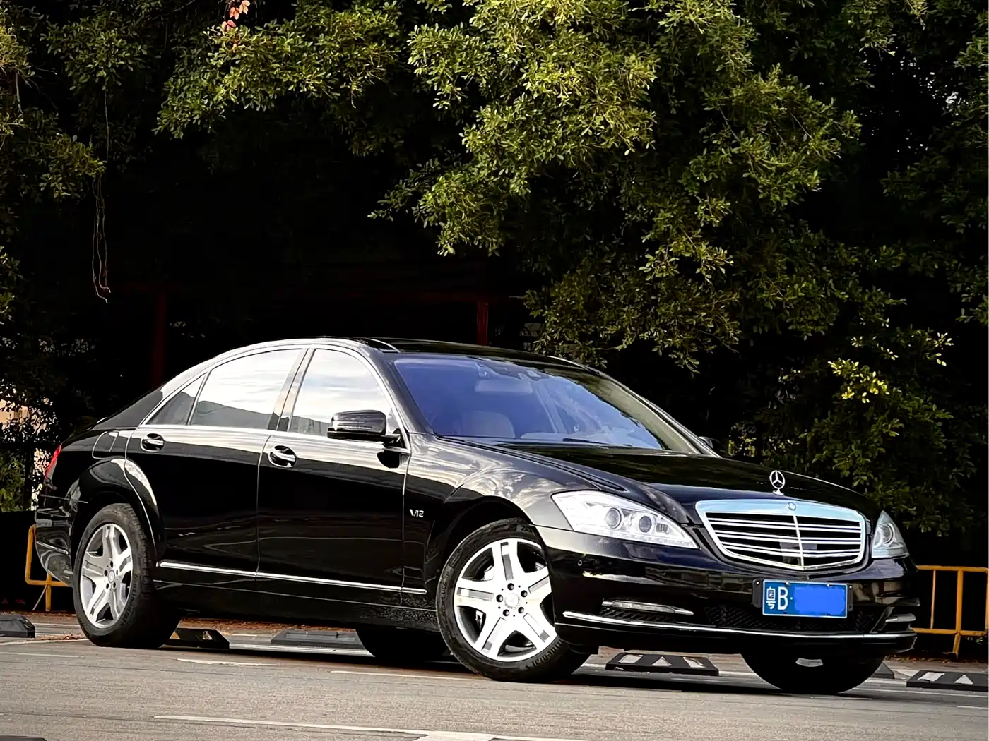 Mercedes-Benz S-Class 2010 S 600 L фото 3