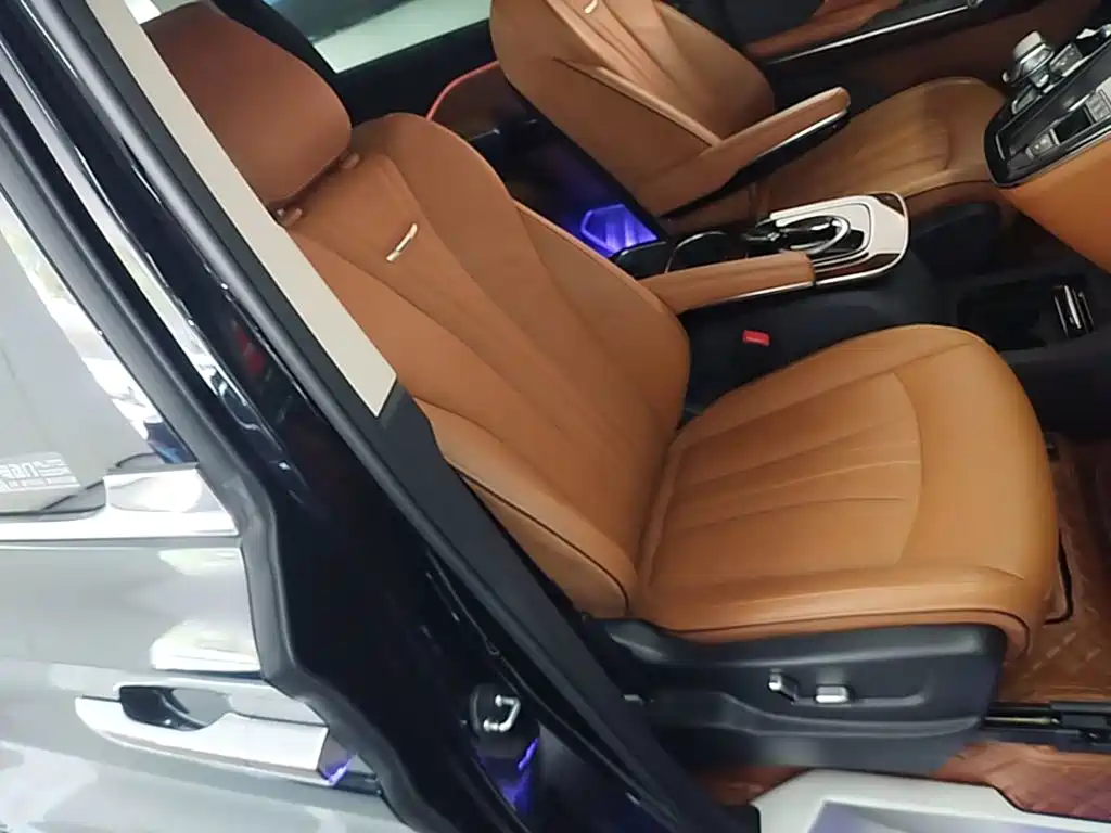 Фото 25 - Hongqi HQ9