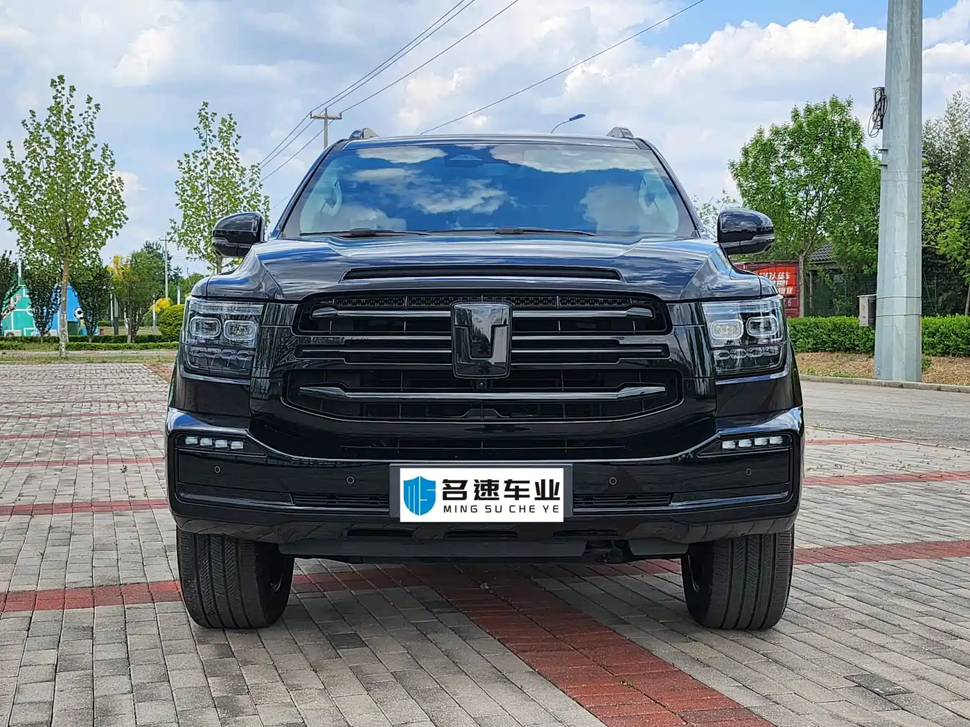 Tank 500 EV 2024 Hi4-T Black Warrior Edition фото 3