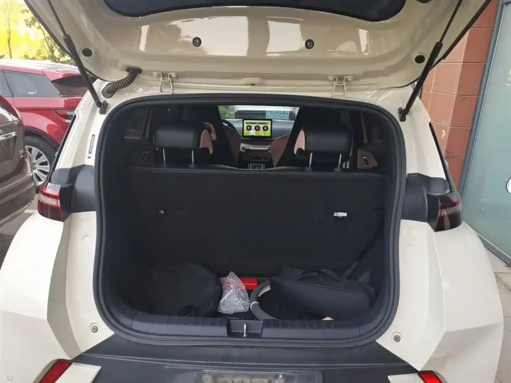 BYD Seagull 2023 Vitality Edition фото 19