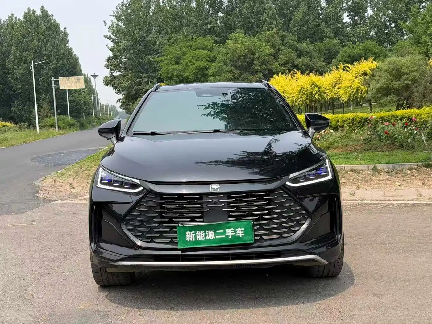 BYD Tang New Energy 2023 Model DM-i Champion Edition 112KM Honor фото 2