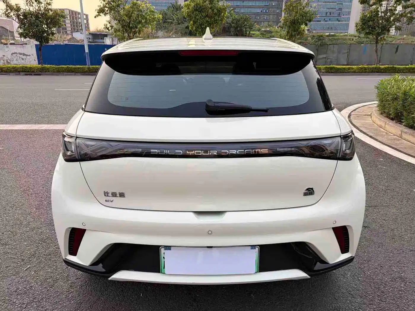 BYD DOLPHIN