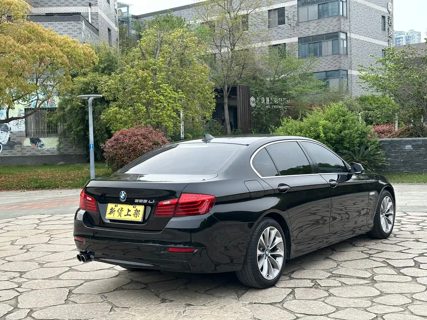 BMW 5 Series 2017 525Li Leading Edition фото 16