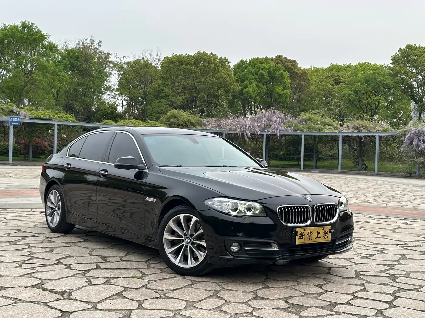 BMW 5 Series 2017 525Li Leading Edition фото 2