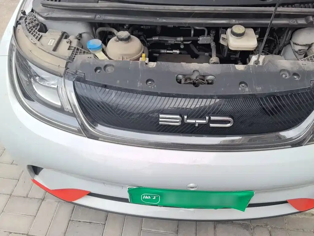 BYD Dolphin 2021 2021 405km Freedom Edition