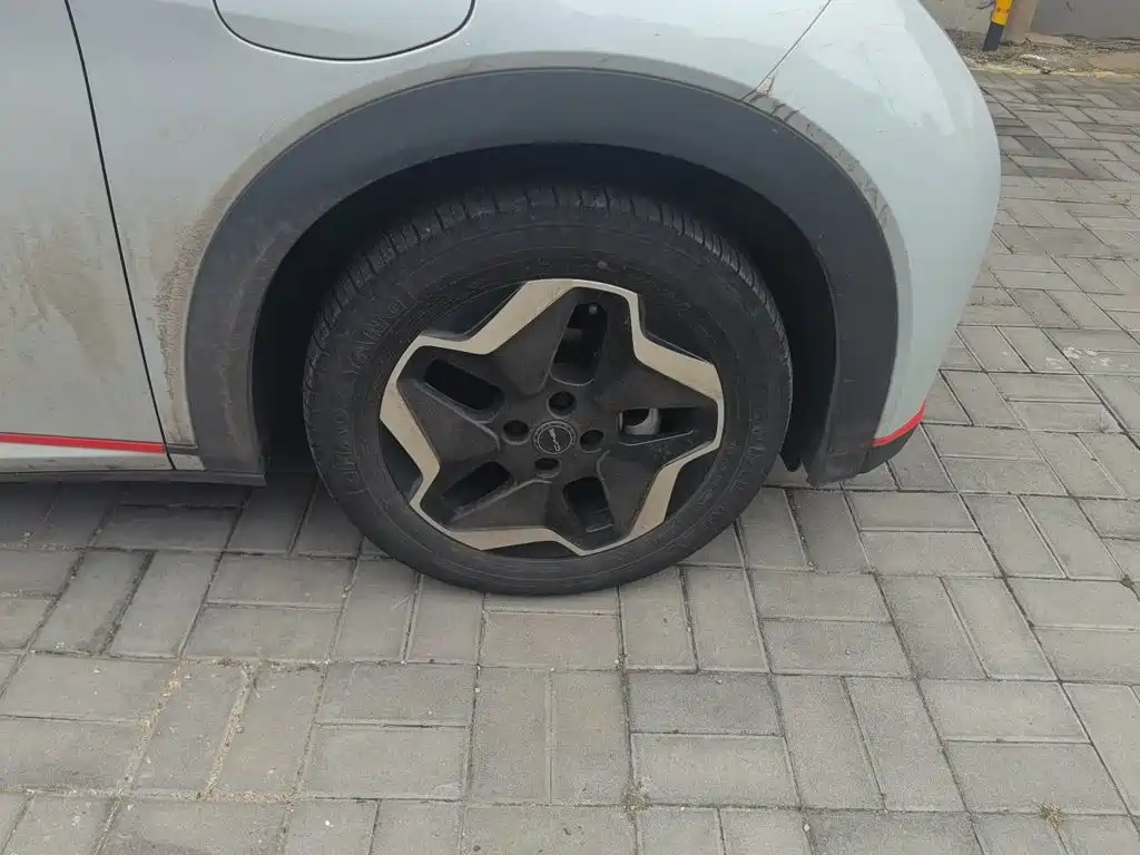 BYD Dolphin 2021 2021 405km Freedom Edition
