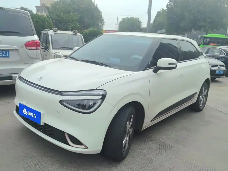 Dongfeng Yipai Nano 01 2024 2024 330 Lite