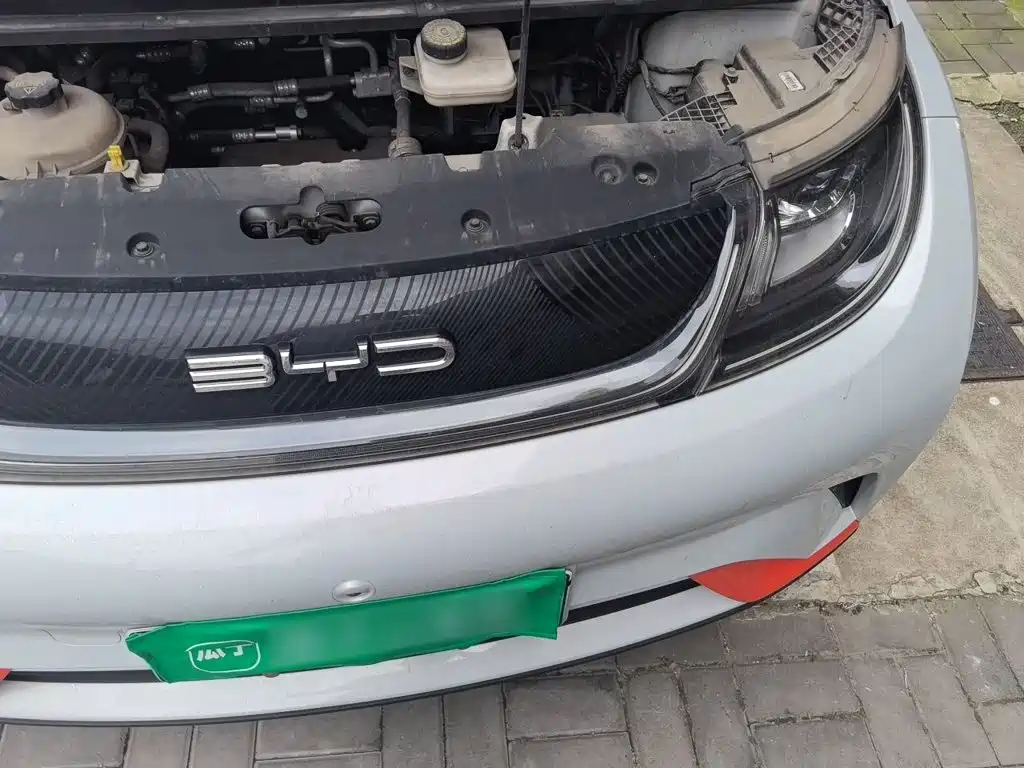 BYD Dolphin 2021 2021 405km Freedom Edition