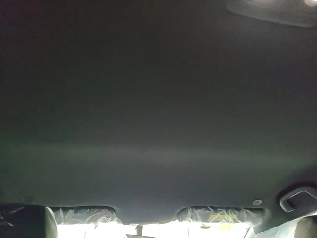 BYD Dolphin 2026 2025 420km Freedom Edition