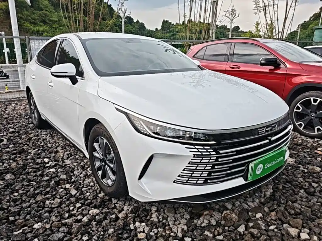 BYD Destroyer 05 2025 2024 Glory Edition DM-i 55KM Luxury