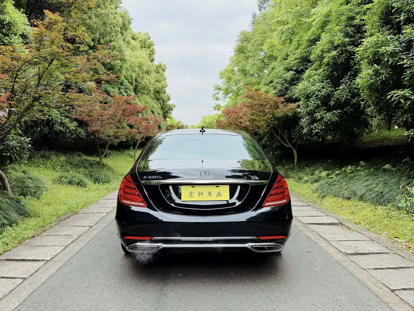 Mercedes-Benz S-Class 2016 S 320 L Luxury фото 14