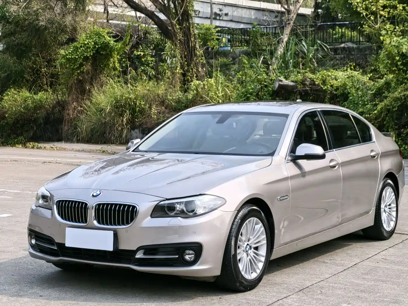 BMW 5 Series 2014 525Li Leading фото 4