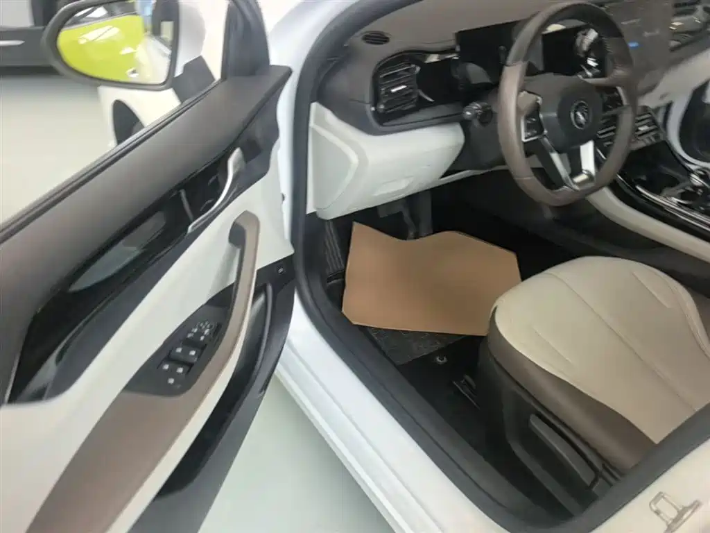 BYD Qin PLUS 2023 Champion Edition DM-i 55KM Leading фото 16