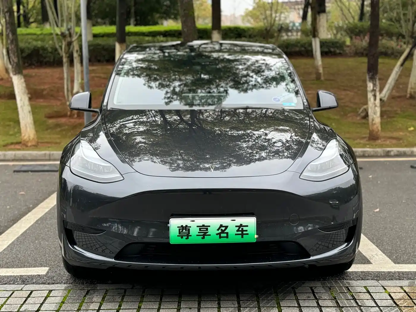 TESLA MODEL Y