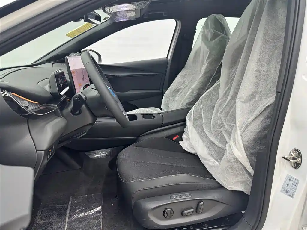 VOLKSWAGEN WITH THE CROWD 06