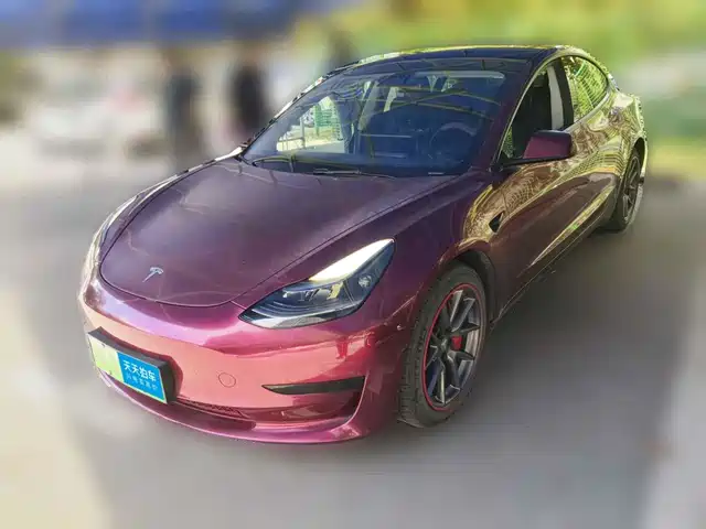 Tesla Model 3 2021 Standard Range Rear-Wheel Drive Upgrade 3D6 — фото 1