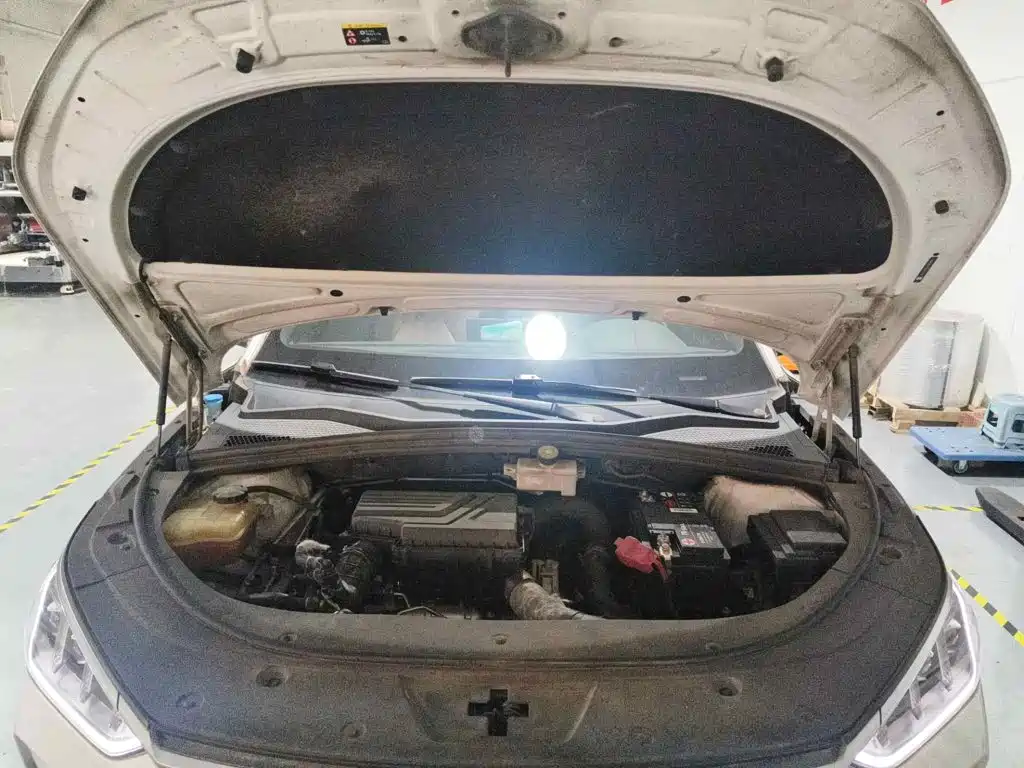 BYD Song PLUS 2020 2020 1.5T Automatic Flagship