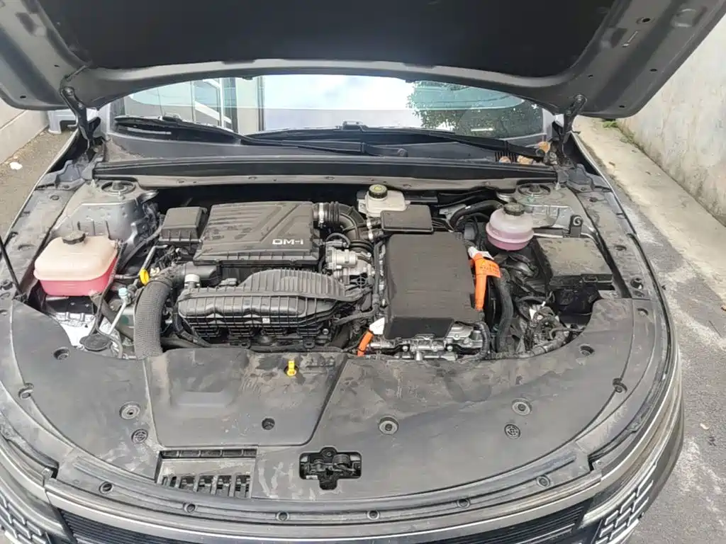 BYD Destroyer 05 2024 2024 Glory Edition DM-i 55KM Luxury