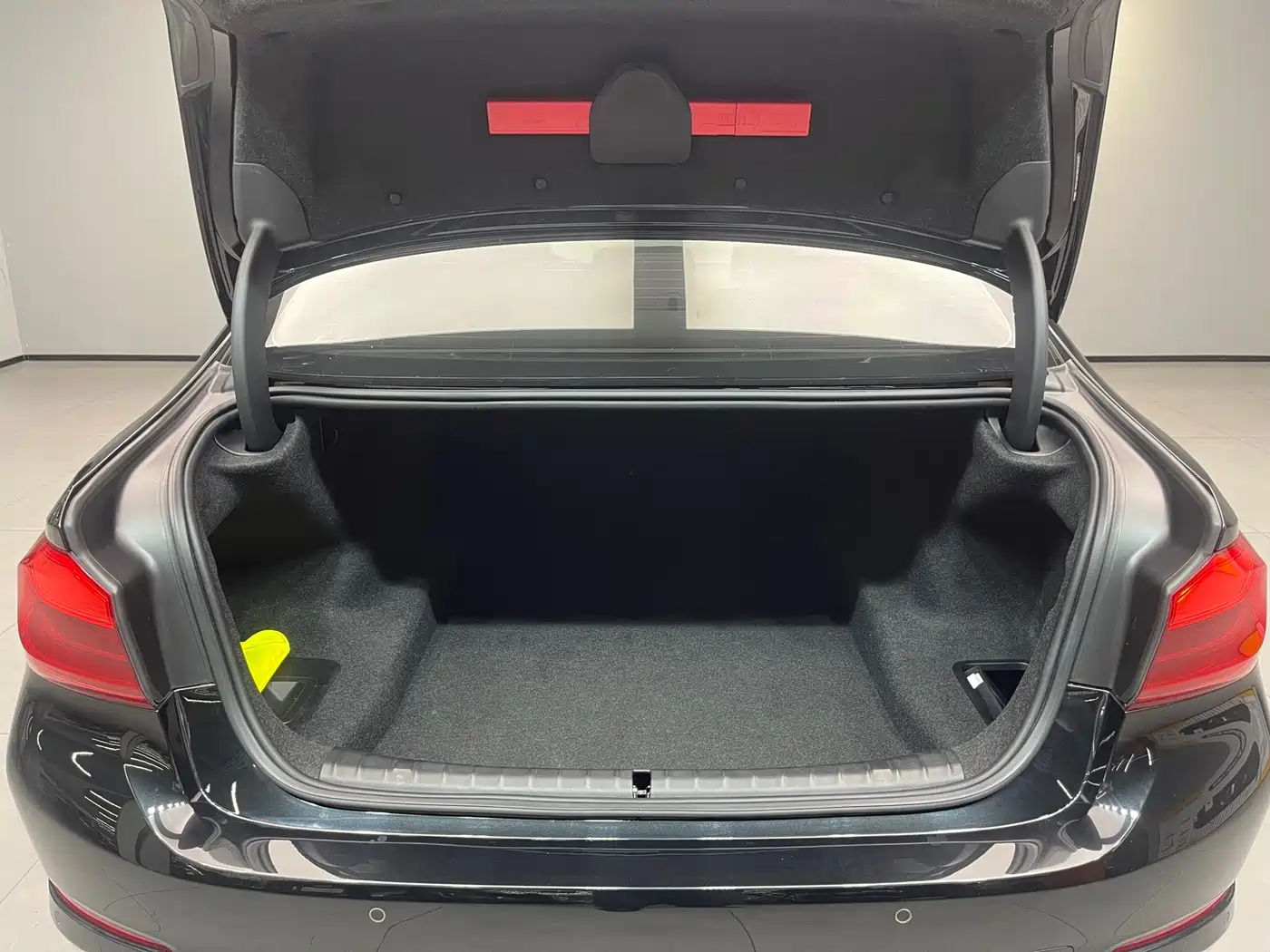 BMW 5 Series 2020 530Li Leading Luxury Package фото 30