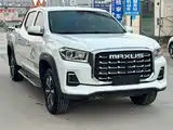 Фото 3 - Maxus Interstellar