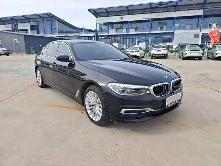 BMW 5 Series 2020 530Li xDrive Luxury Package фото 3