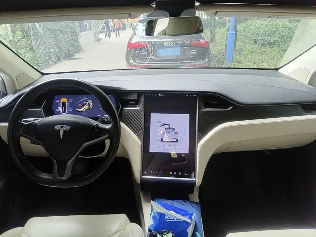 Photo 12 - Tesla Model X