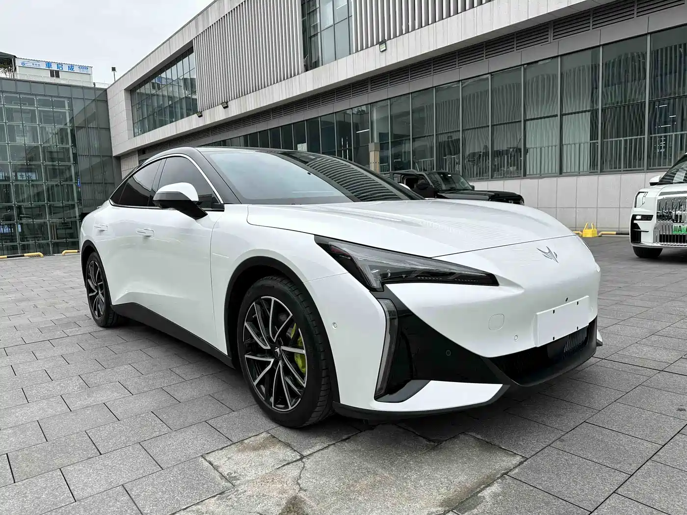 ARCFOX EXTREME FOX POLAR FOX ALPHA S5