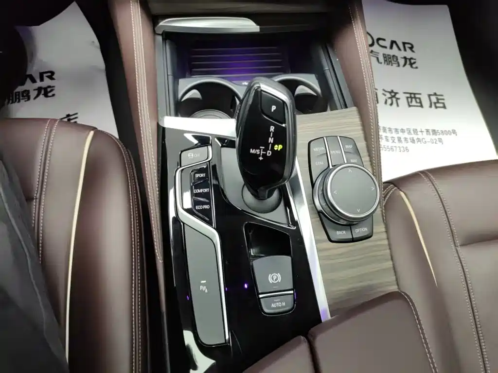 BMW 5 Series 2019 530Li Leading Luxury Package фото 10