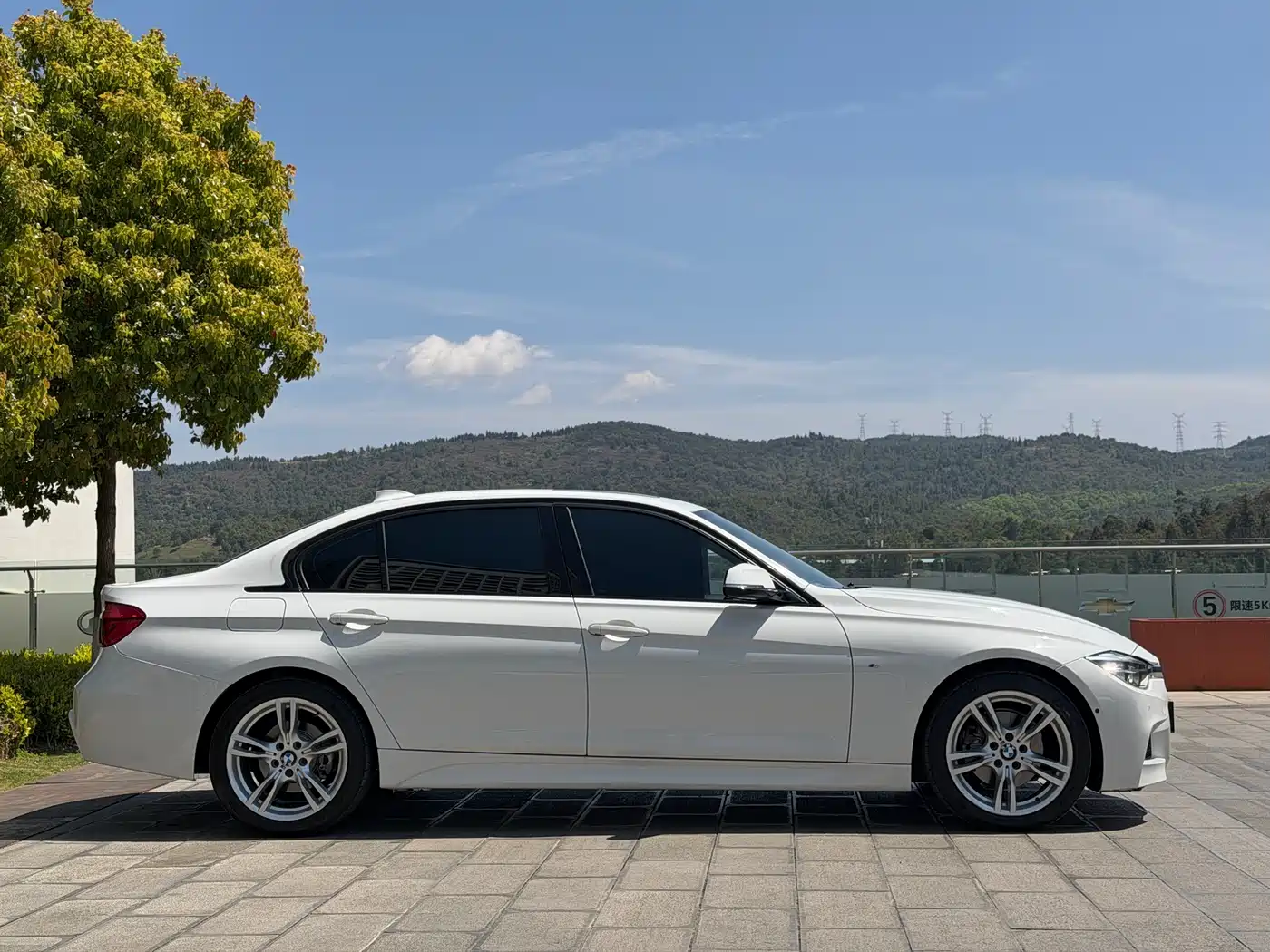 BMW 3 Series 2018 320Li Leading M Sport Package фото 4