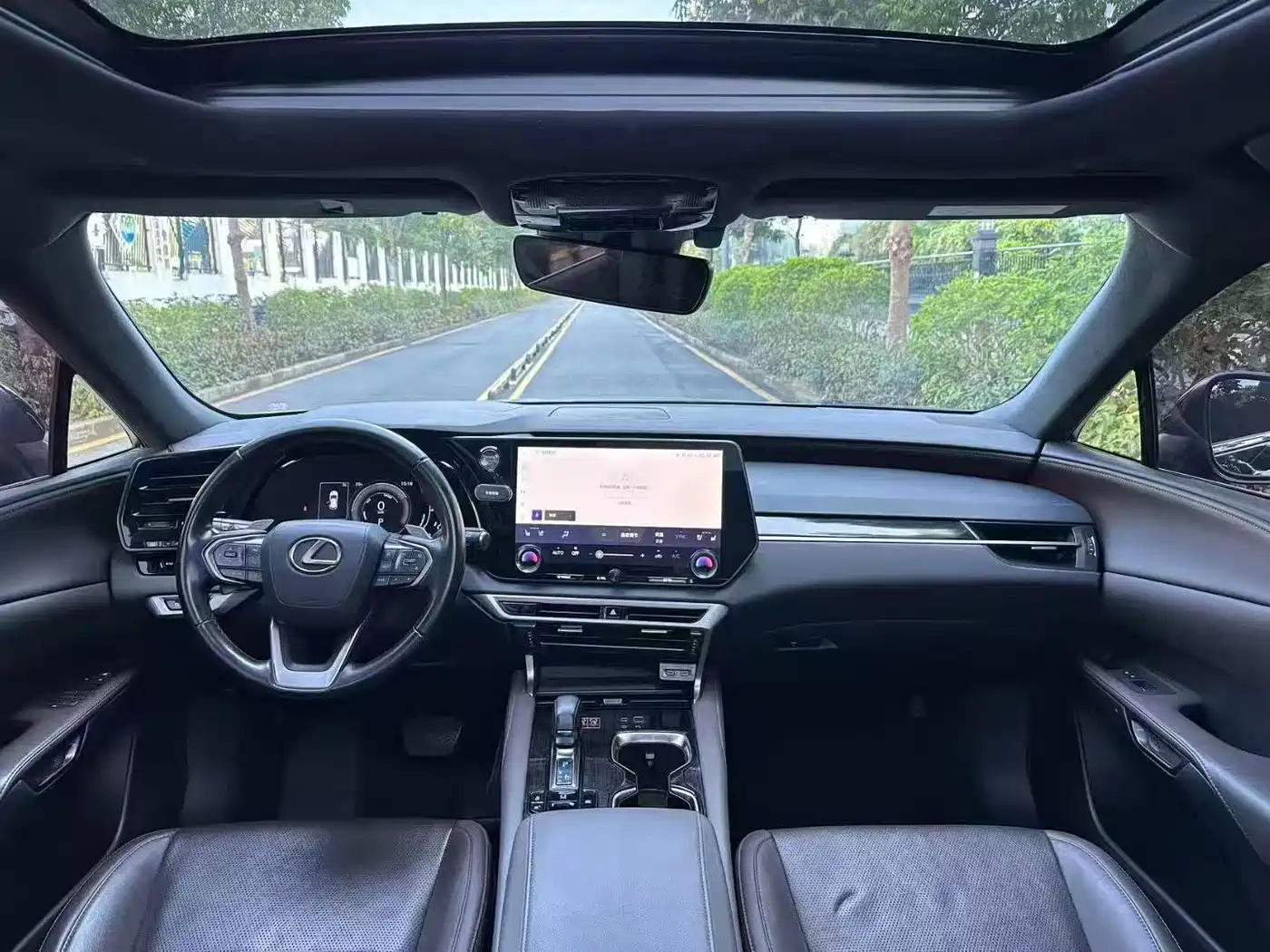 Фото 5 - Lexus RX