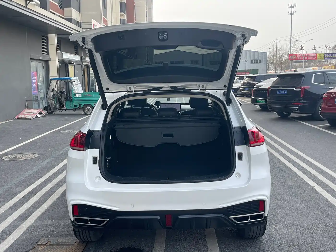 WEI PAI WEI BRAND VV5