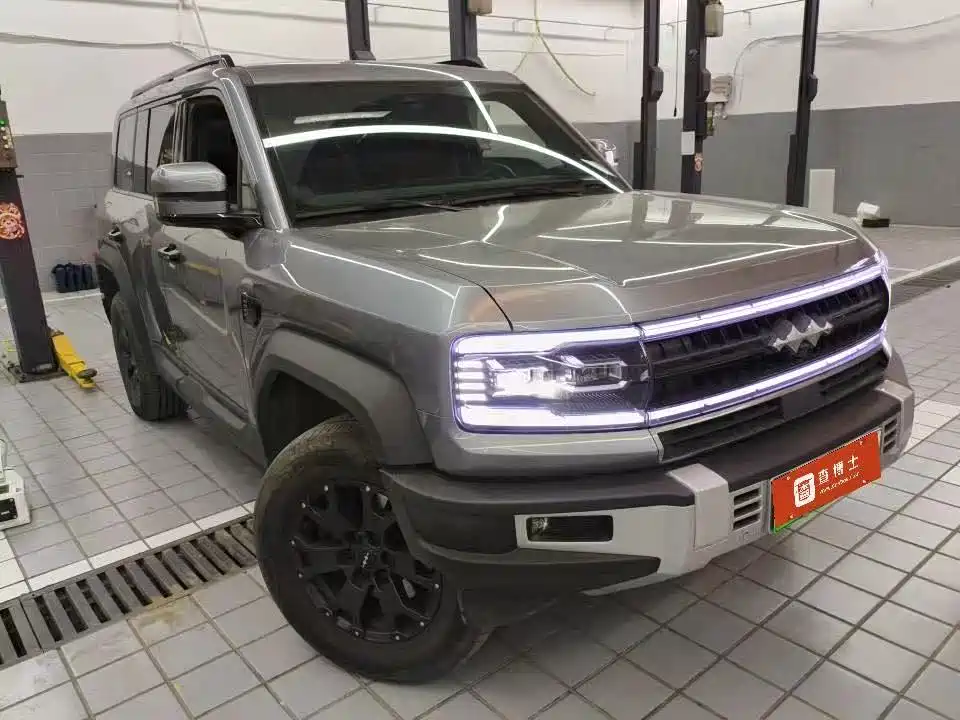 FANG CHENG BAO LEOPARD 5