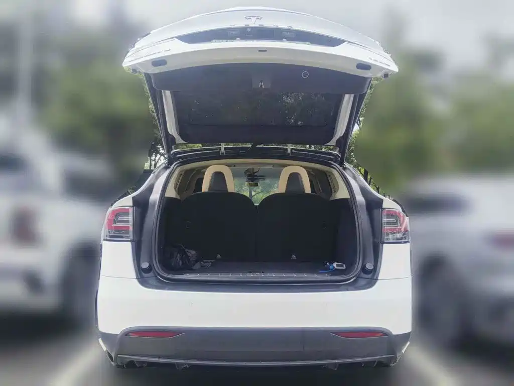 Фото 5 - Tesla Model X