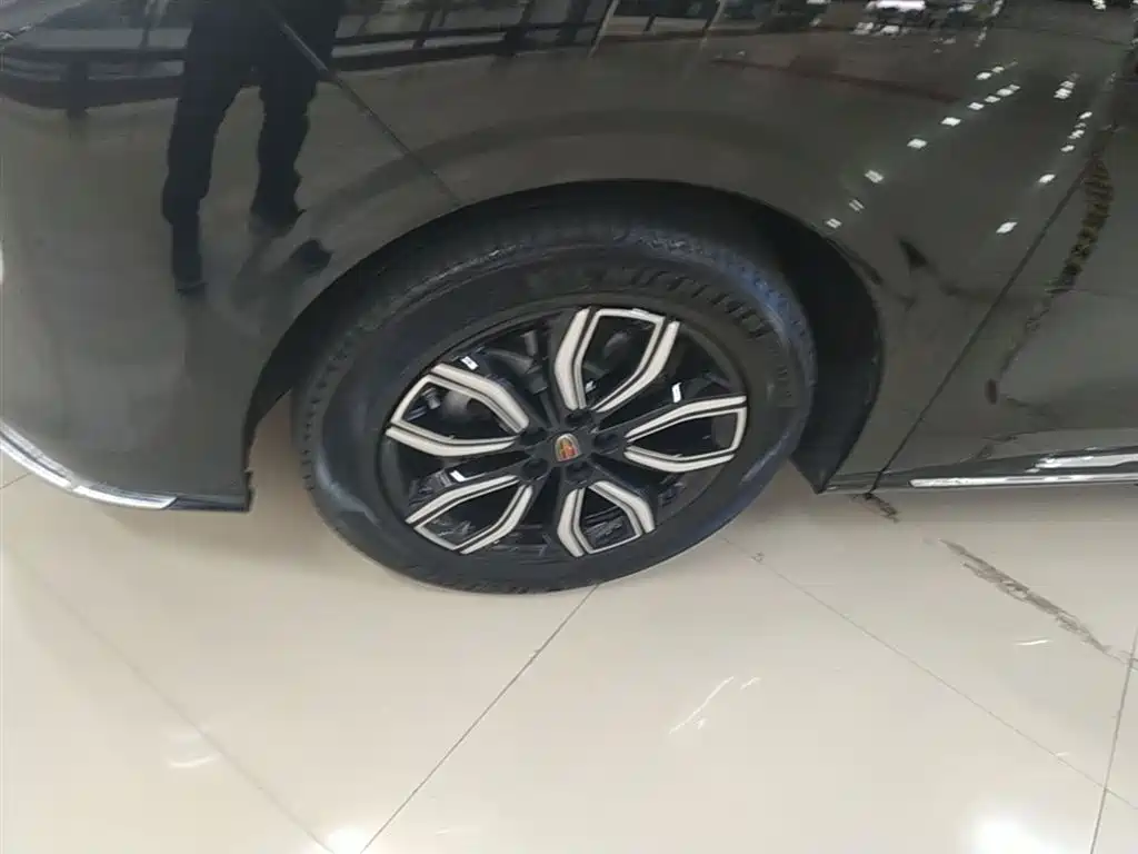 Hongqi HQ9 2023 2.0T Smart Connect Flag Enjoy Edition фото 23
