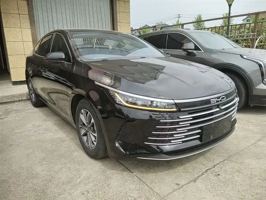 BYD Destroyer 05 2024 Glory Edition DM-i 55KM Luxury фото 4