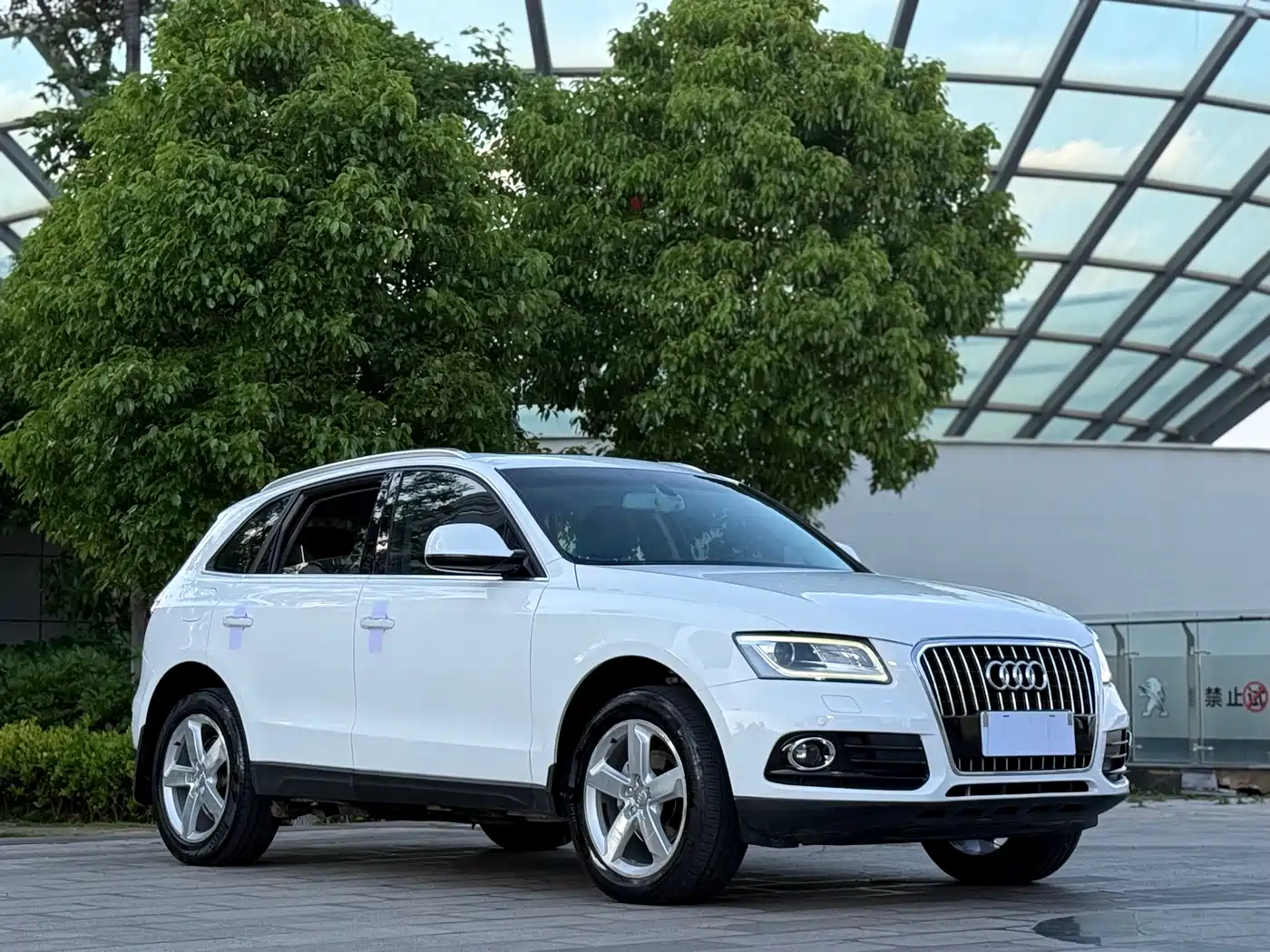 Audi Q5 2016 40 TFSI Progressive Model фото 3